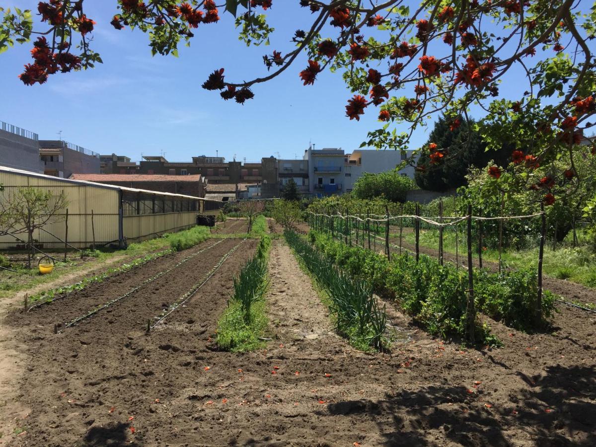 Ortosalato Agricamping Torregrotta Zewnętrze zdjęcie